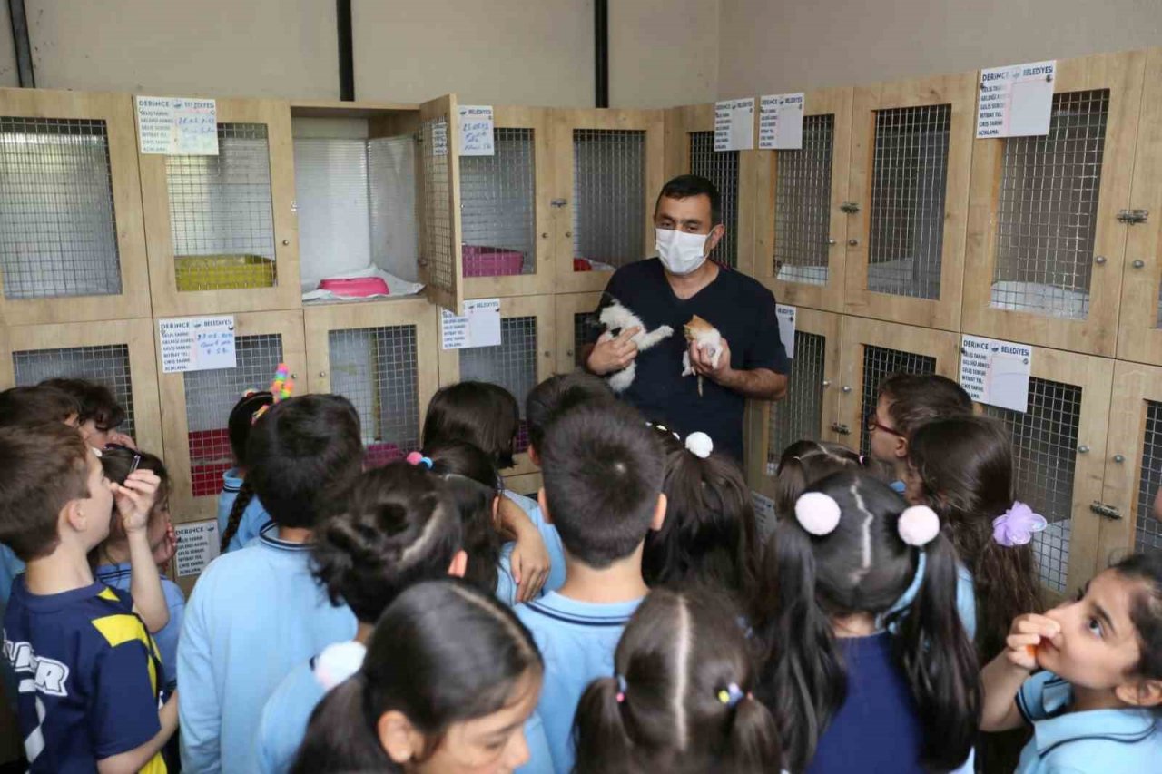 Bu merkez can dostlara ’şifa’ oluyor