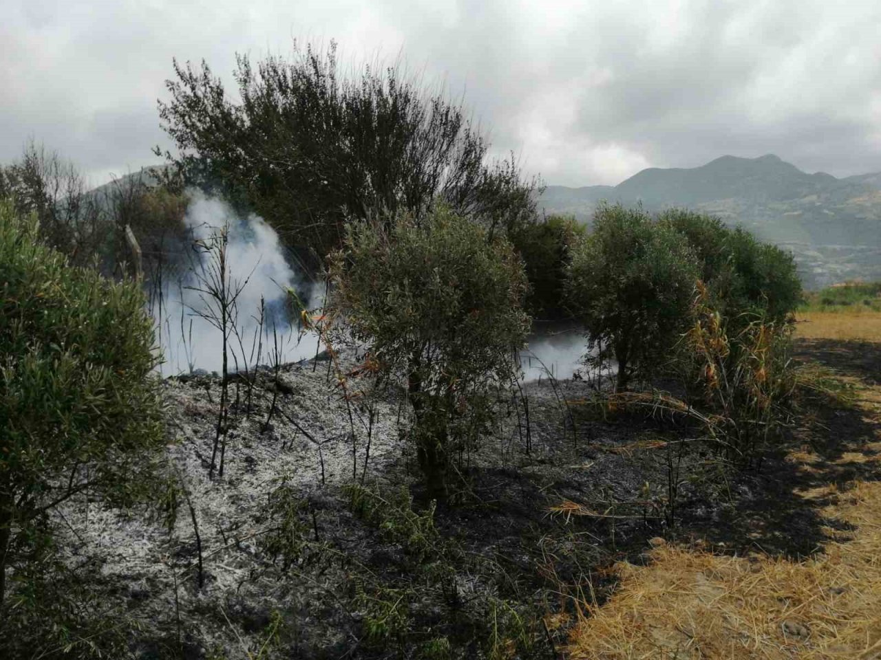 Sazlık alanda çıkan yangın söndürüldü
