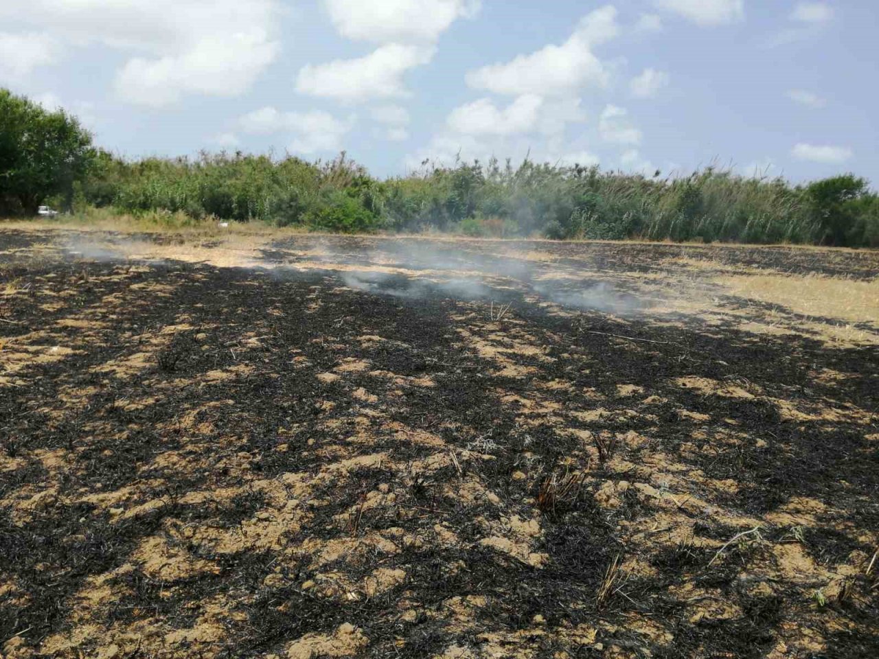 Sazlık alanda çıkan yangın söndürüldü