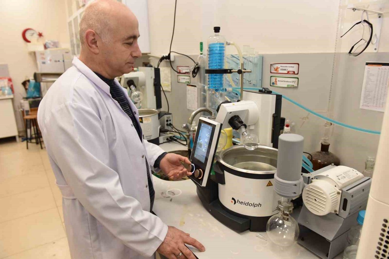 Üniversite laboratuvarlarında geliştirildi: Borlu gıda takviyeleri ile kemik erimesi önlenecek