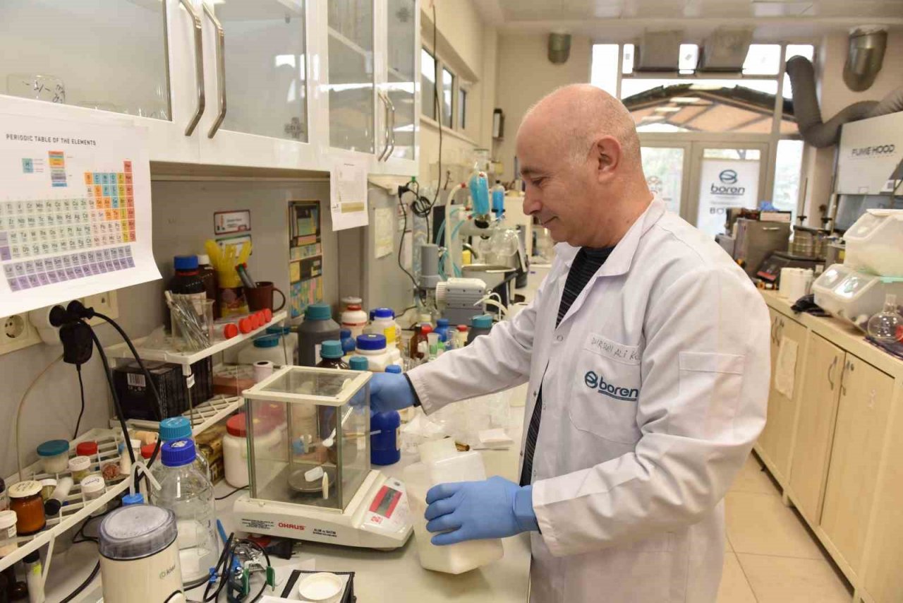 Üniversite laboratuvarlarında geliştirildi: Borlu gıda takviyeleri ile kemik erimesi önlenecek