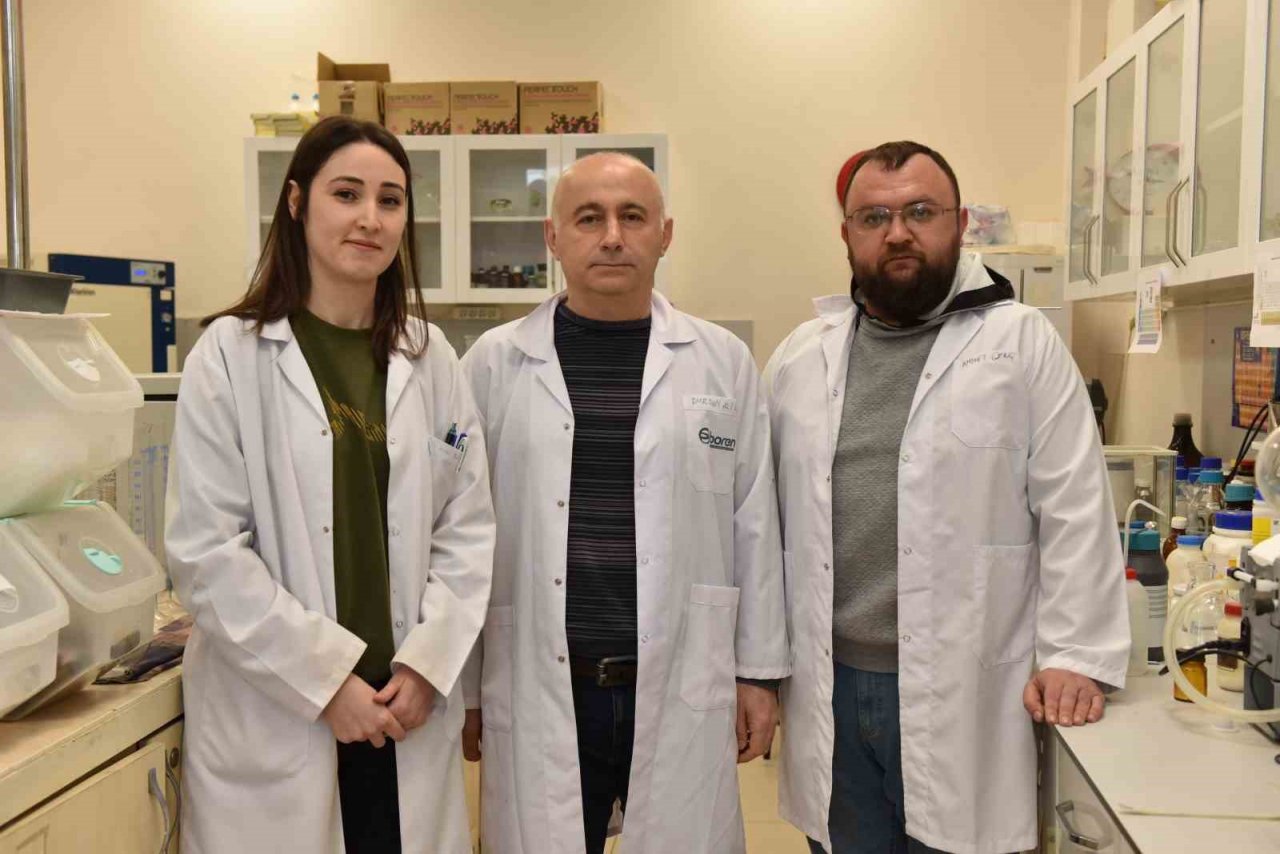 Üniversite laboratuvarlarında geliştirildi: Borlu gıda takviyeleri ile kemik erimesi önlenecek