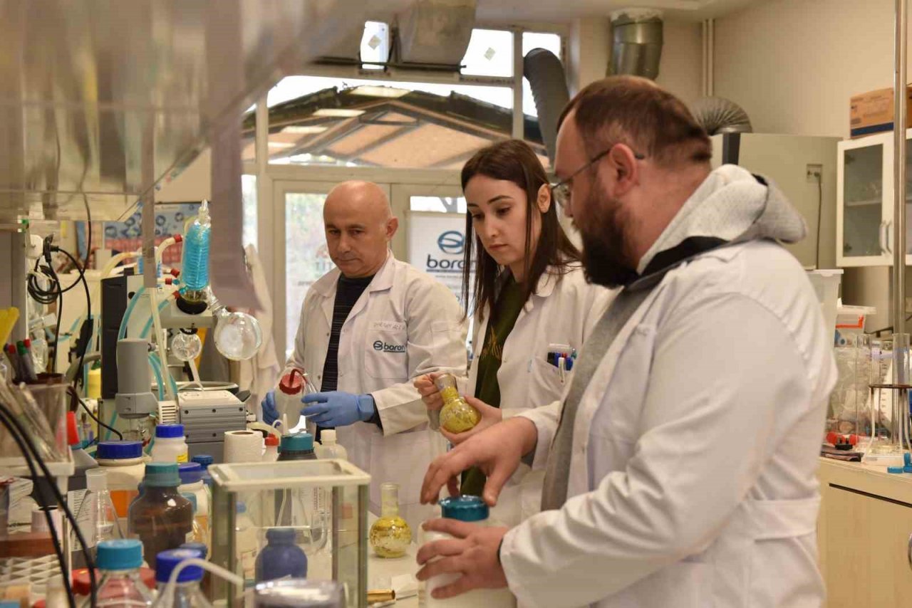 Üniversite laboratuvarlarında geliştirildi: Borlu gıda takviyeleri ile kemik erimesi önlenecek