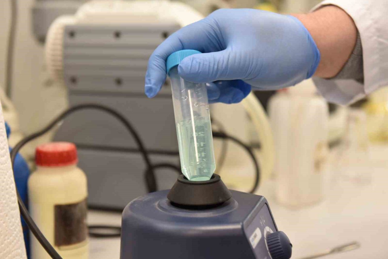 Üniversite laboratuvarlarında geliştirildi: Borlu gıda takviyeleri ile kemik erimesi önlenecek