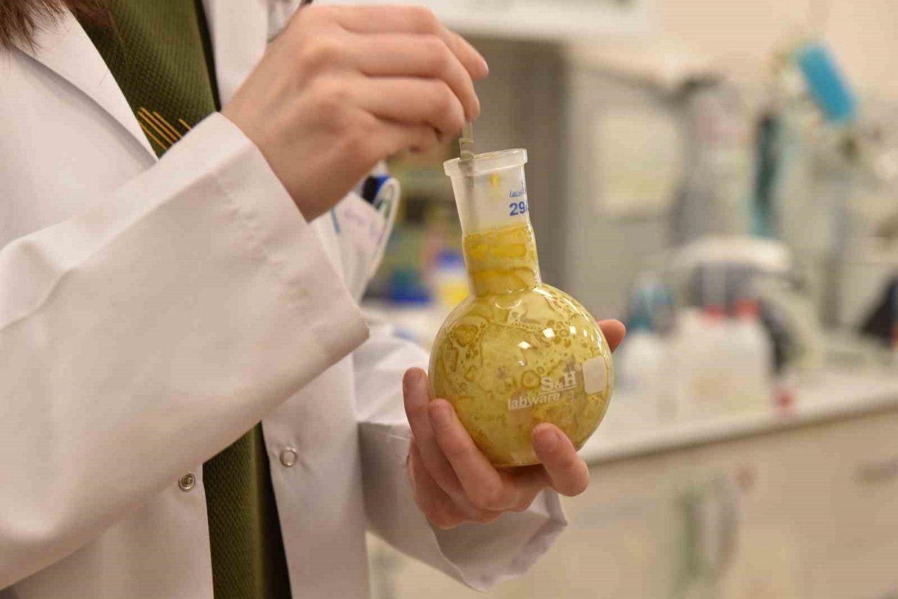 Üniversite laboratuvarlarında geliştirildi: Borlu gıda takviyeleri ile kemik erimesi önlenecek