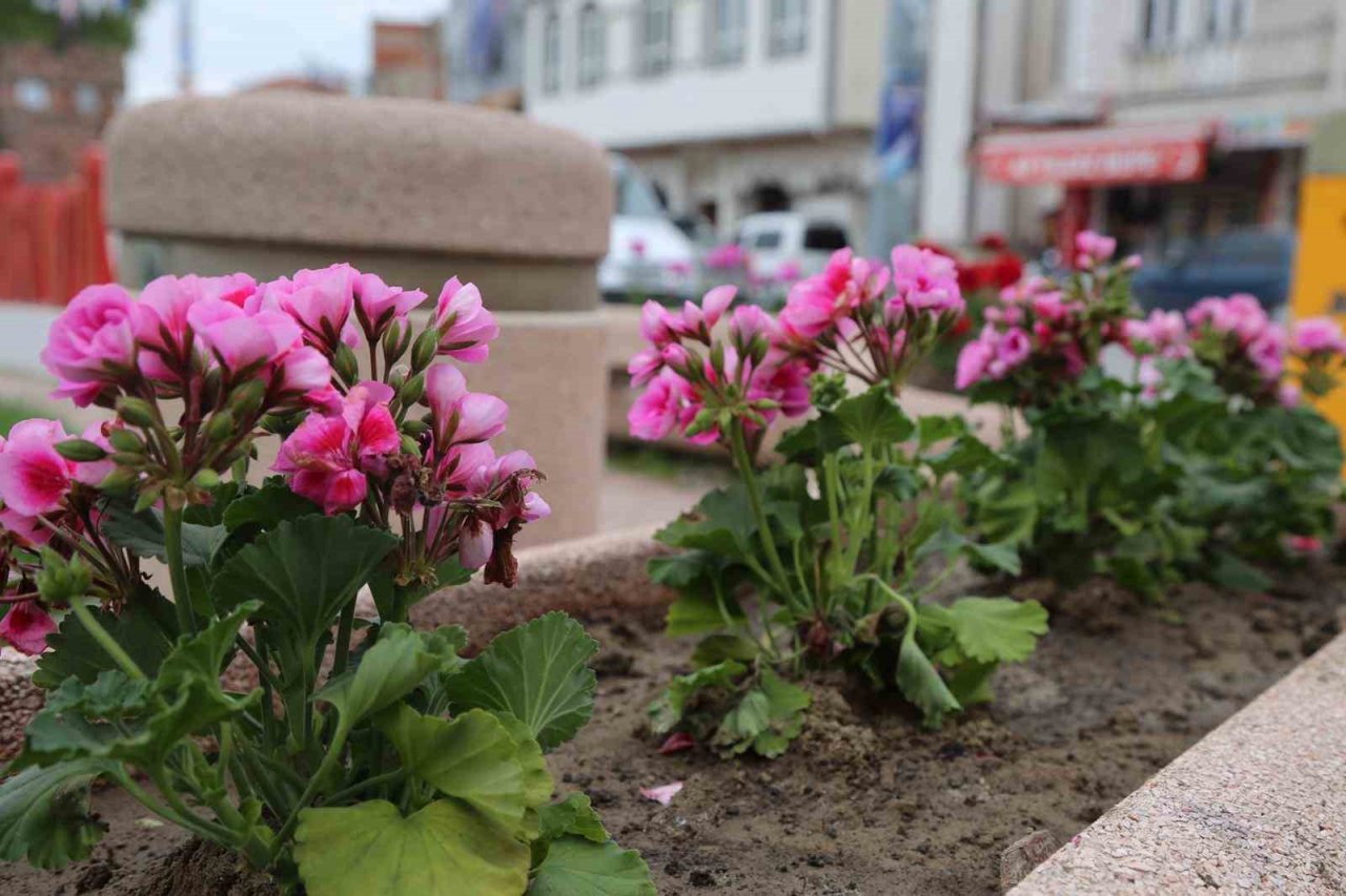 İvrindi’de çiçekler açtı