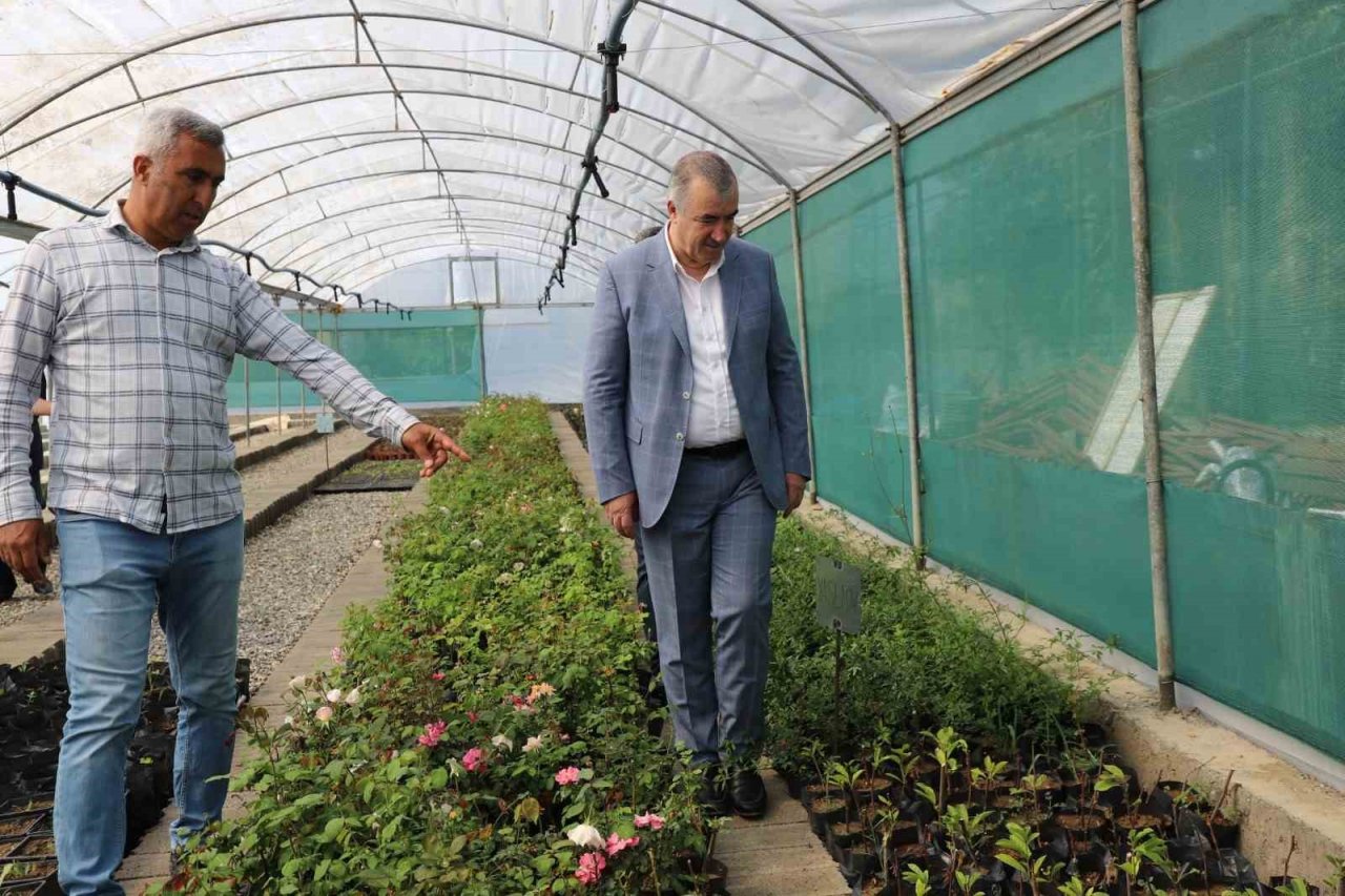 Kahta’da çiçek serası kuruldu