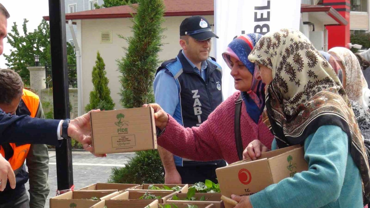 Belediyenin seralarında yetiştirilen 180 bin fide vatandaşlara ücretsiz dağıtıldı