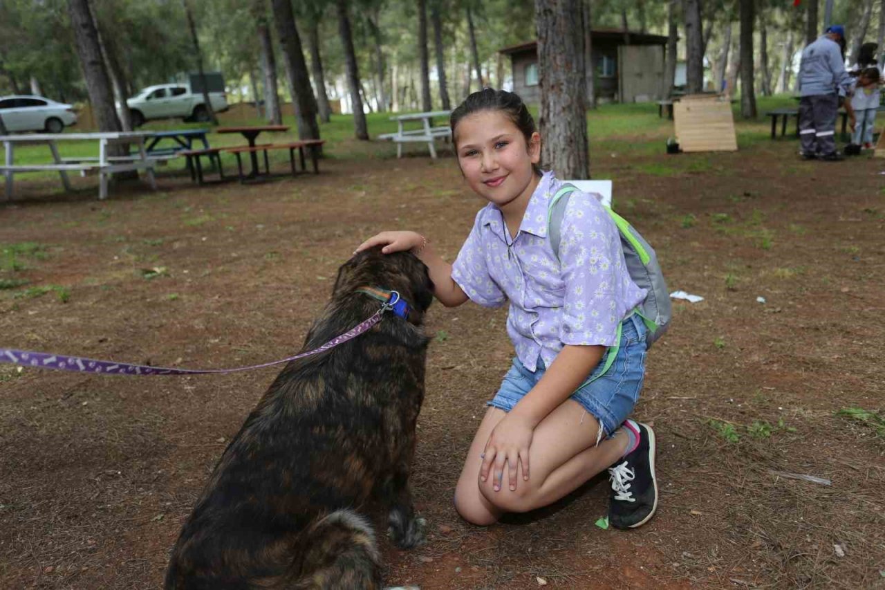 Kepez’in Pati Atölyesi’nden sokak hayvanlarına yuva