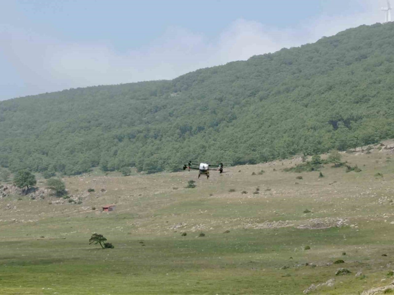 Büyükşehirden çekirgeye karşı dron ile mücadele