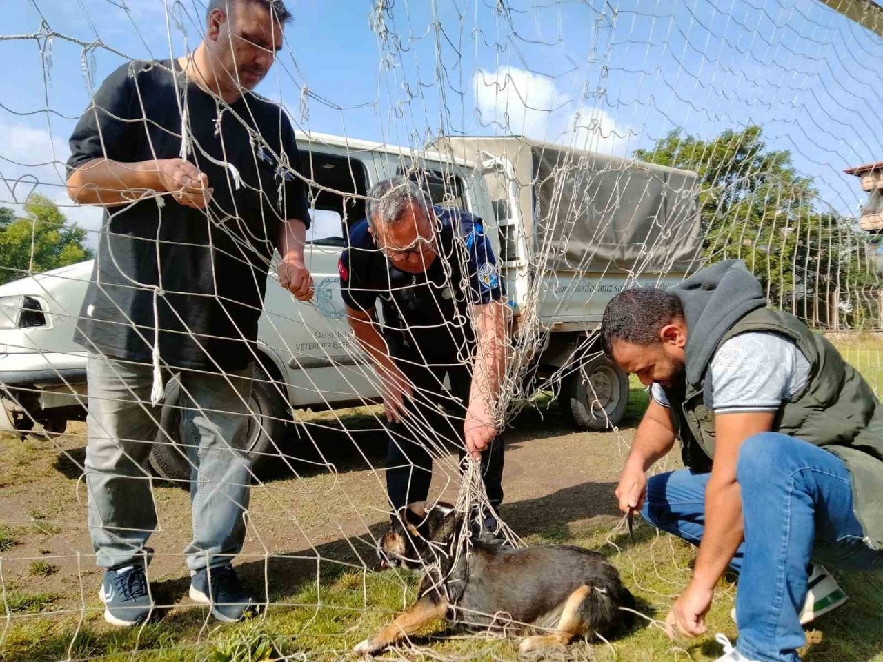 Manisa’da kale filesine dolanıp mahsur kalan köpek kurtarıldı
