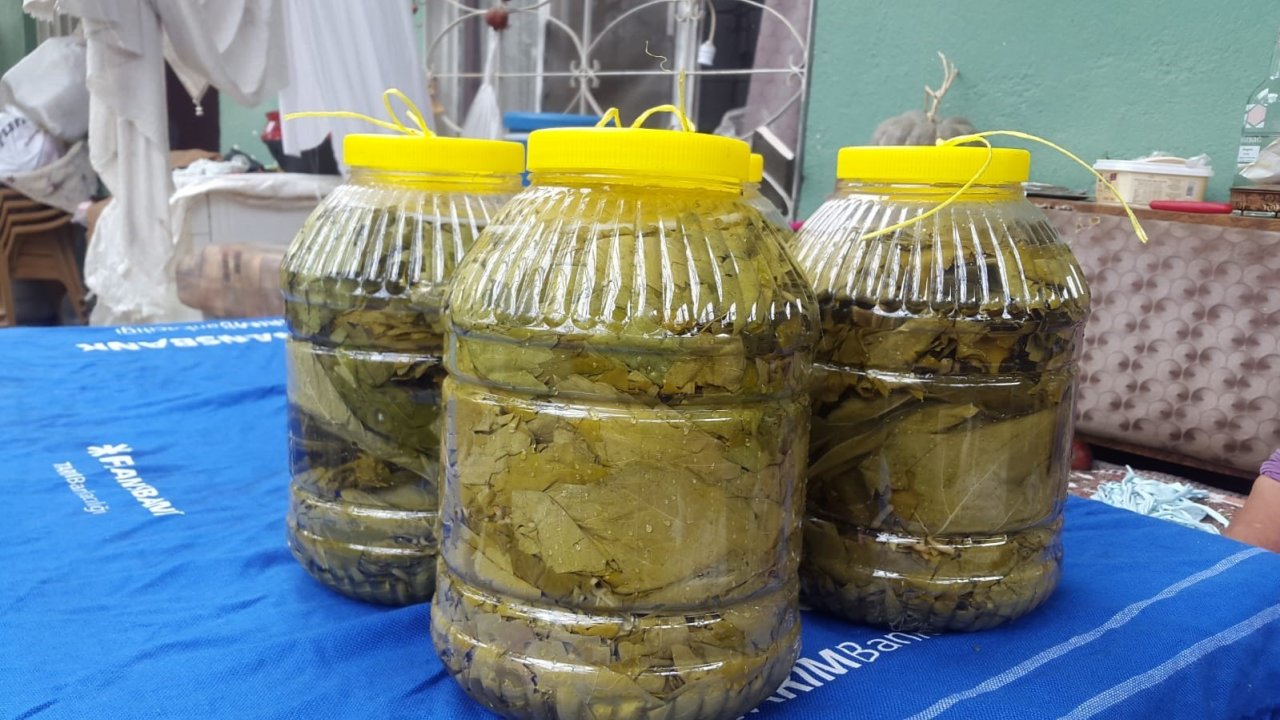 Evlerde kışlık salamura yaprak hazırlığı başladı