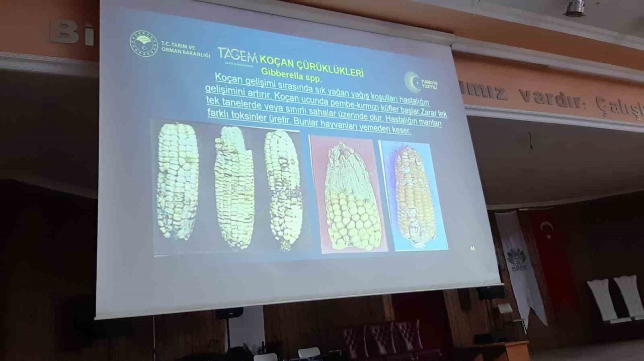 Çiftçiler bilmediklerini bu toplantıda öğrendi