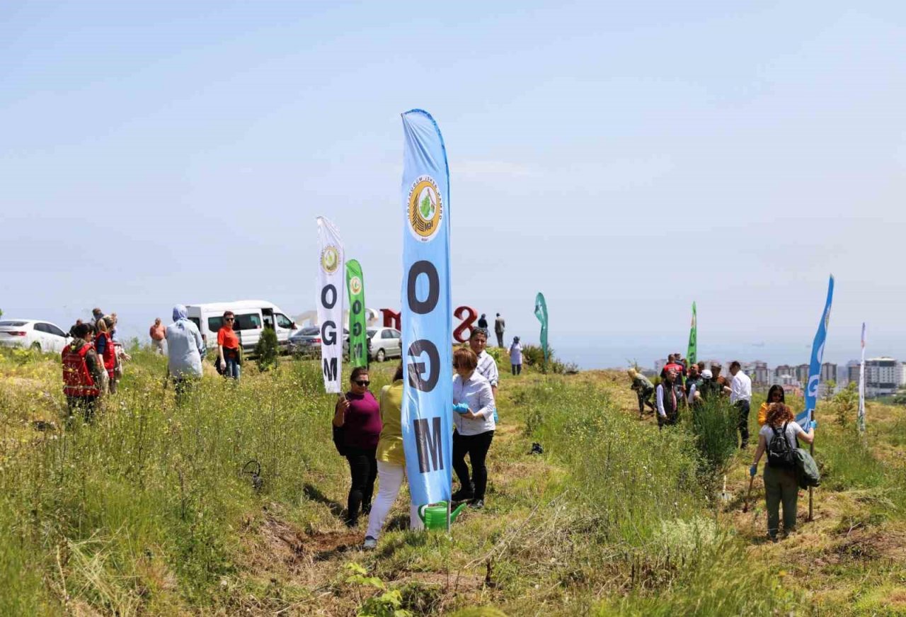 Dünya Tütünsüz Günü fidan dikilerek kutlandı