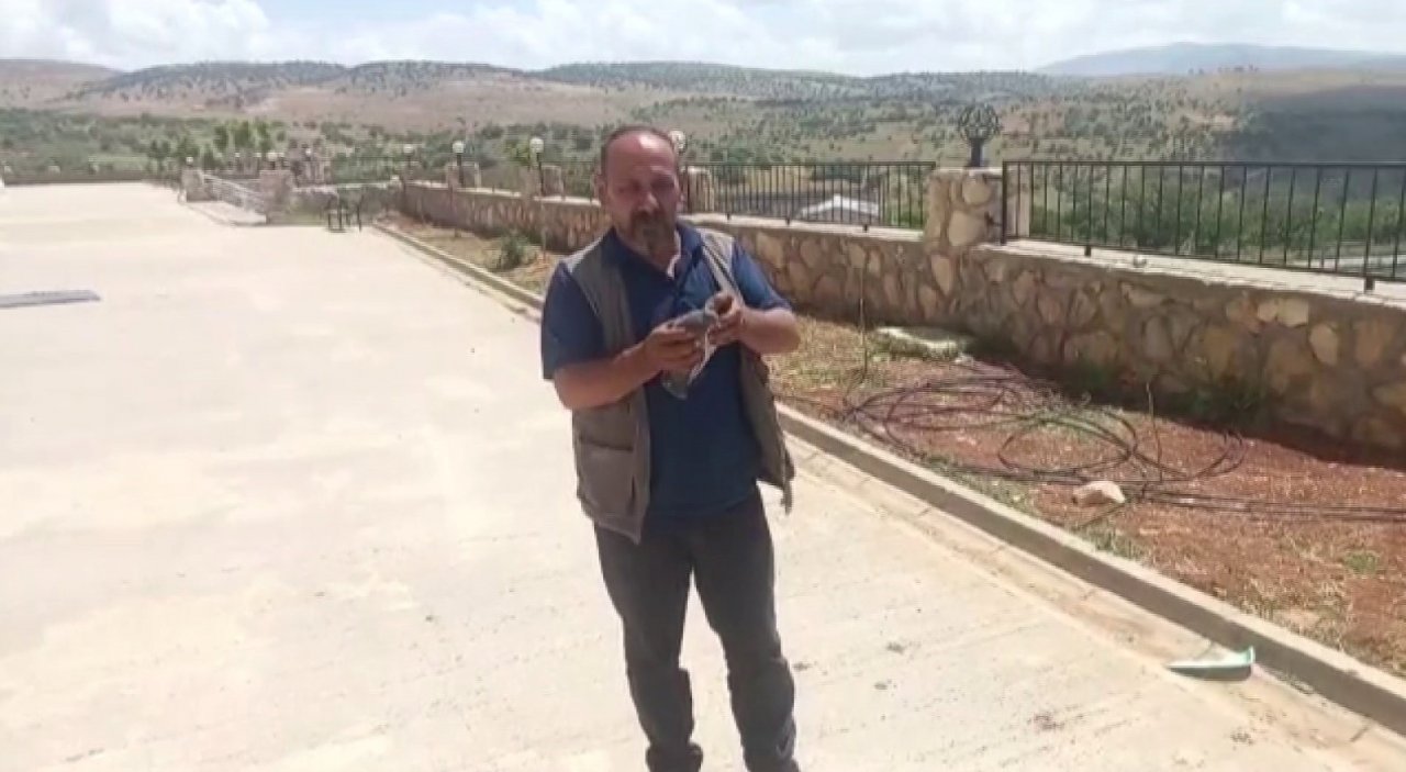 Okulda mahsur kalan güvercin, çalışanlar tarafından kurtarıldı