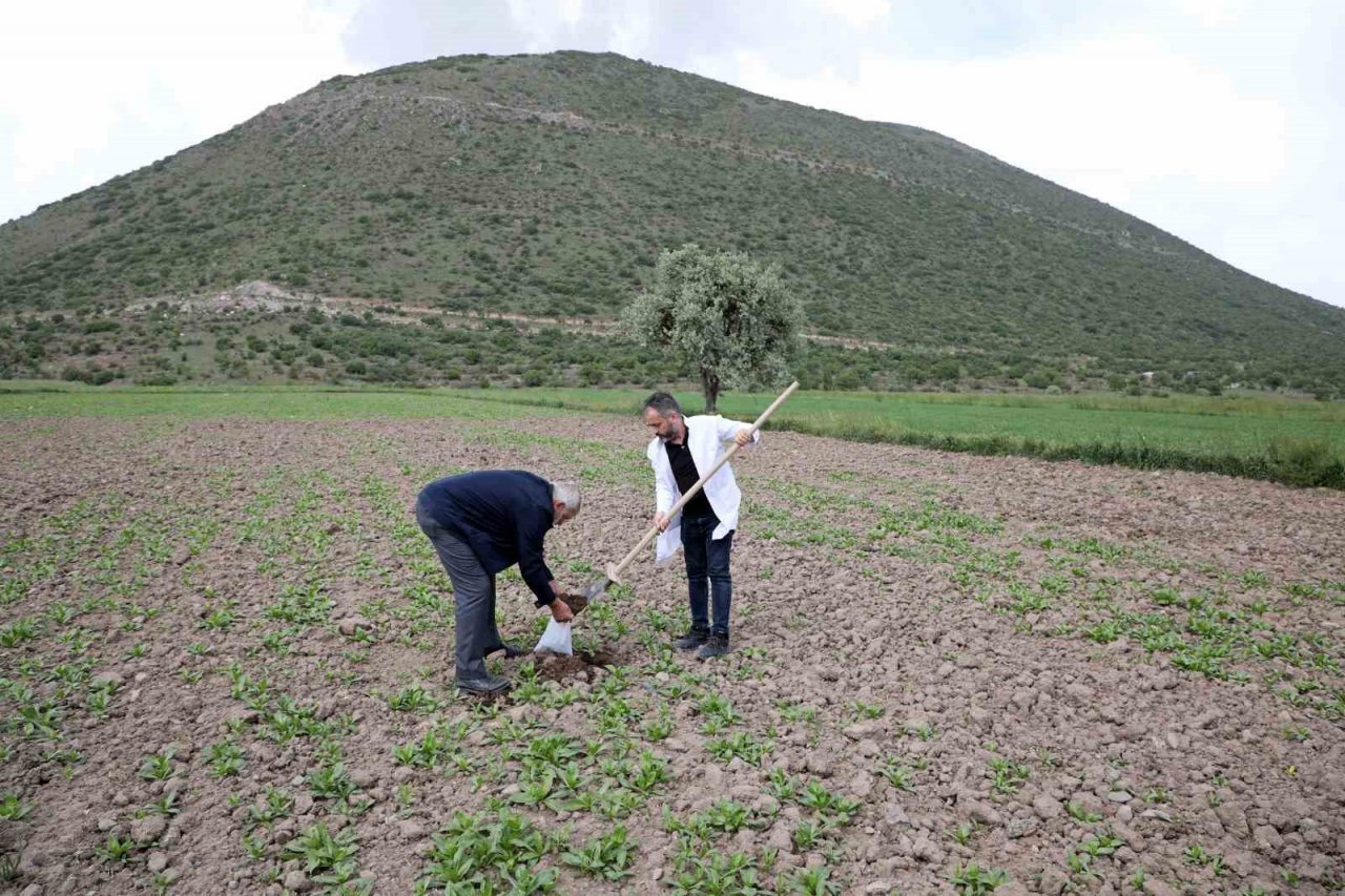 1.500 Çiftçinin Toprak Analizi Talas Belediyesi’nden