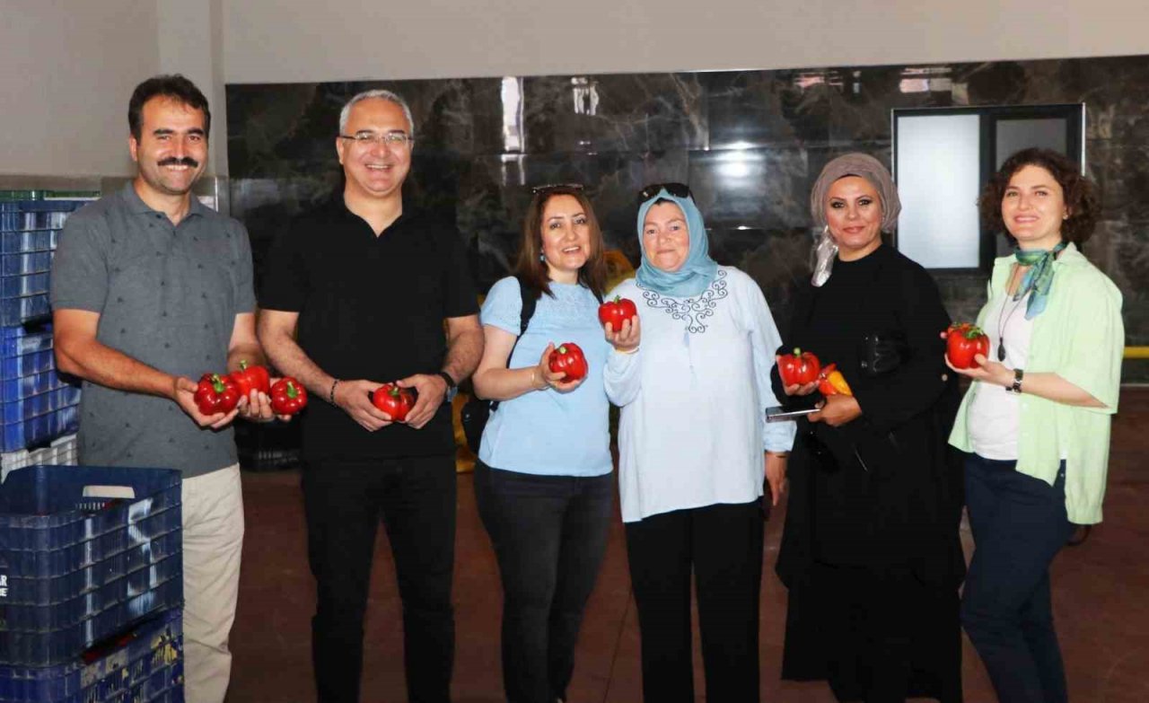 Yalovalı sebze üreticilerinden Kumluca’ya teknik gezi