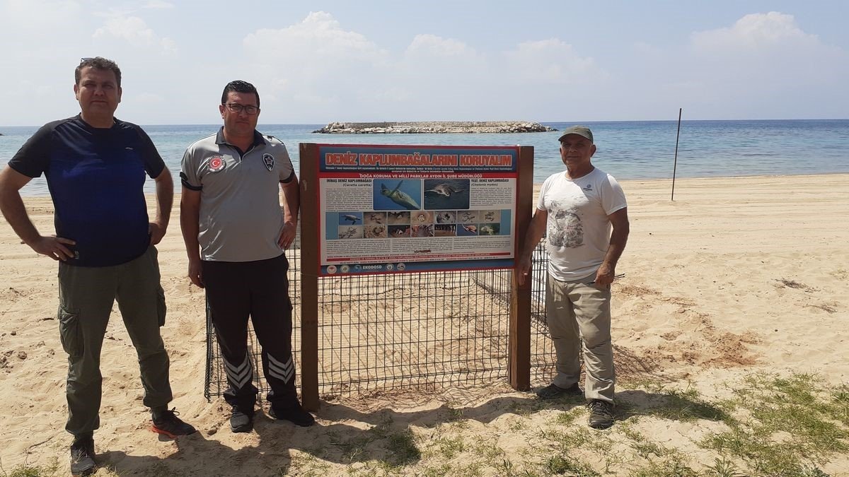 Caretta caretta, Didim sahiline yumurtalarını bıraktı