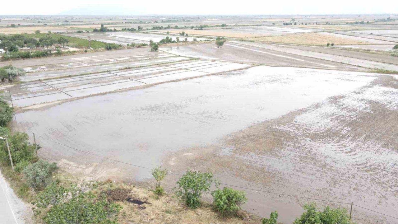 Sel, tarlaları sular altında bıraktı