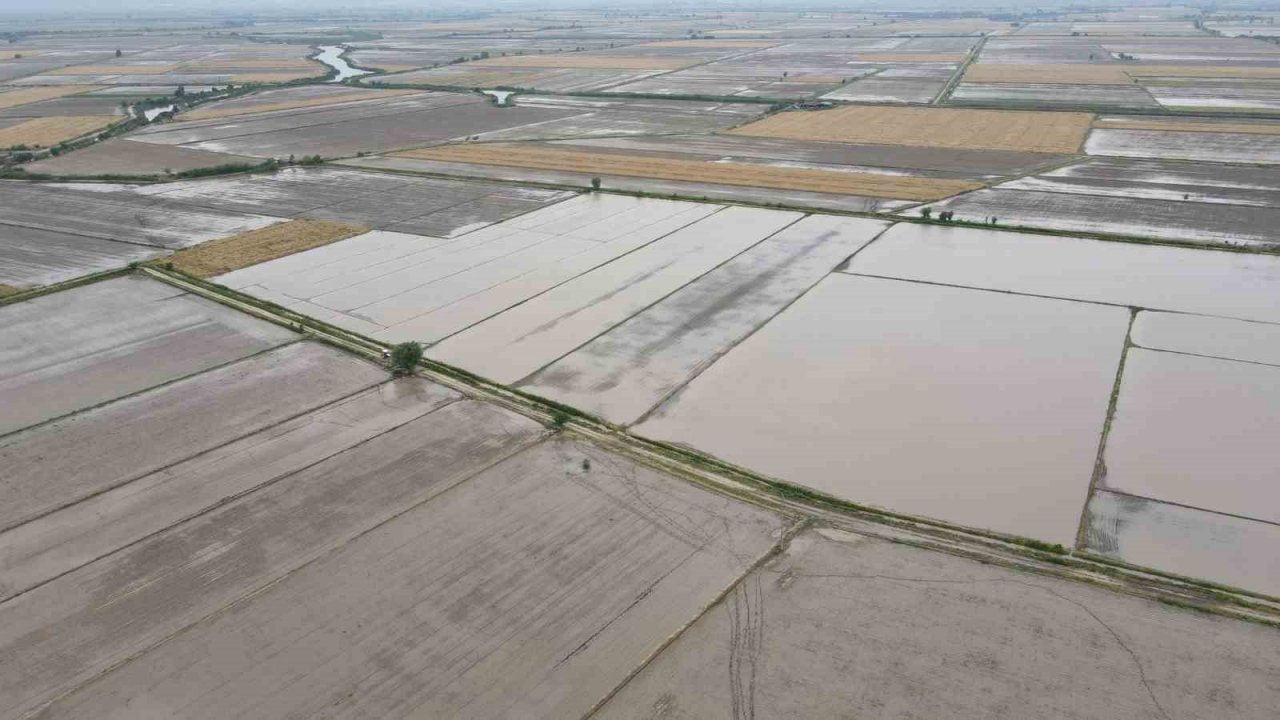 Sel, tarlaları sular altında bıraktı