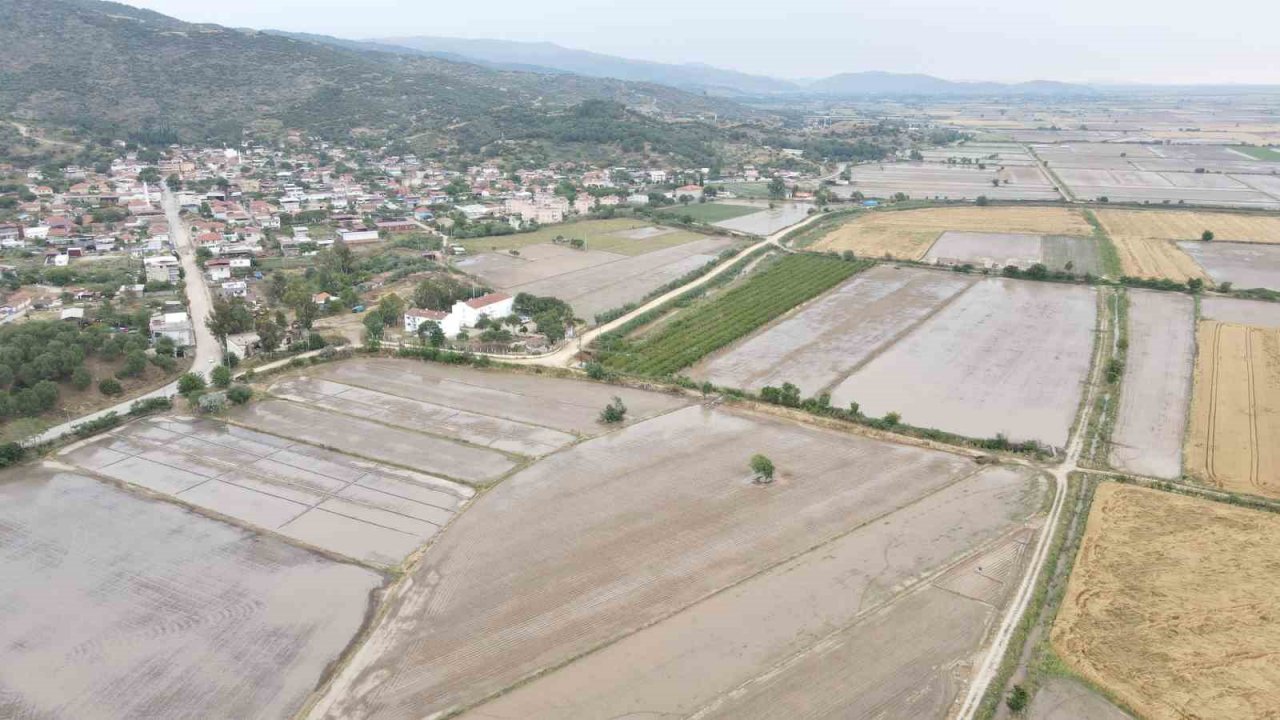 Sel, tarlaları sular altında bıraktı