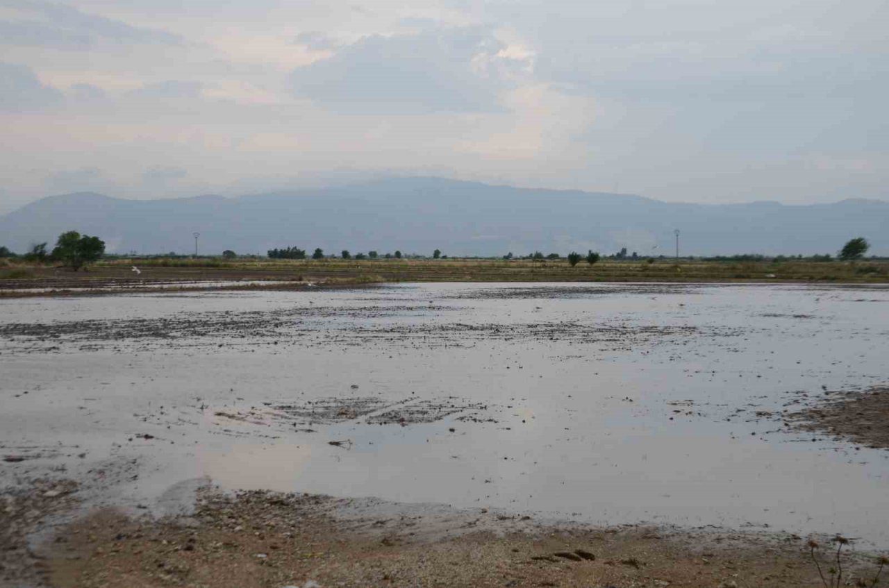 Sel, tarlaları sular altında bıraktı