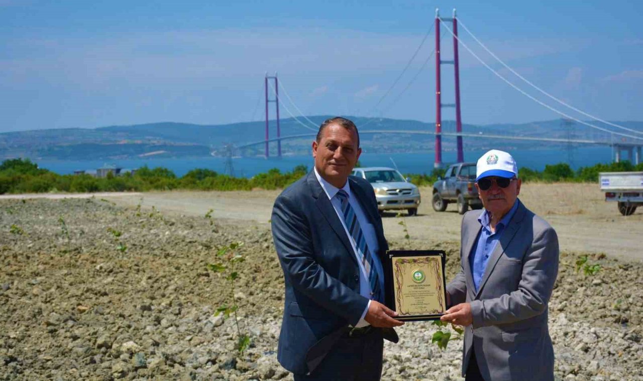 Lapseki’de ağaçlandırma çalışması