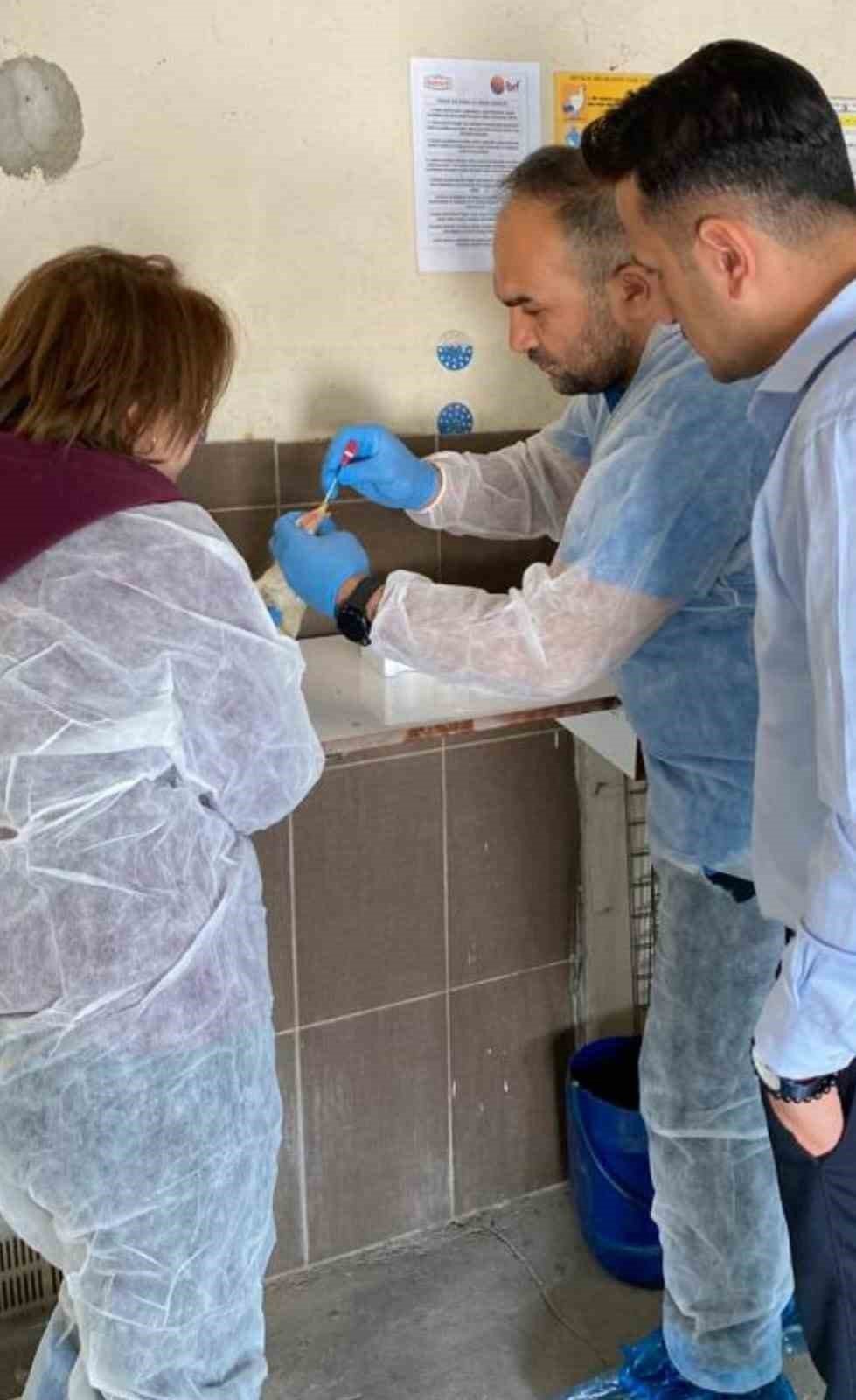 Elazığ’da köy ve ticari tavuk işletmelerinde denetim