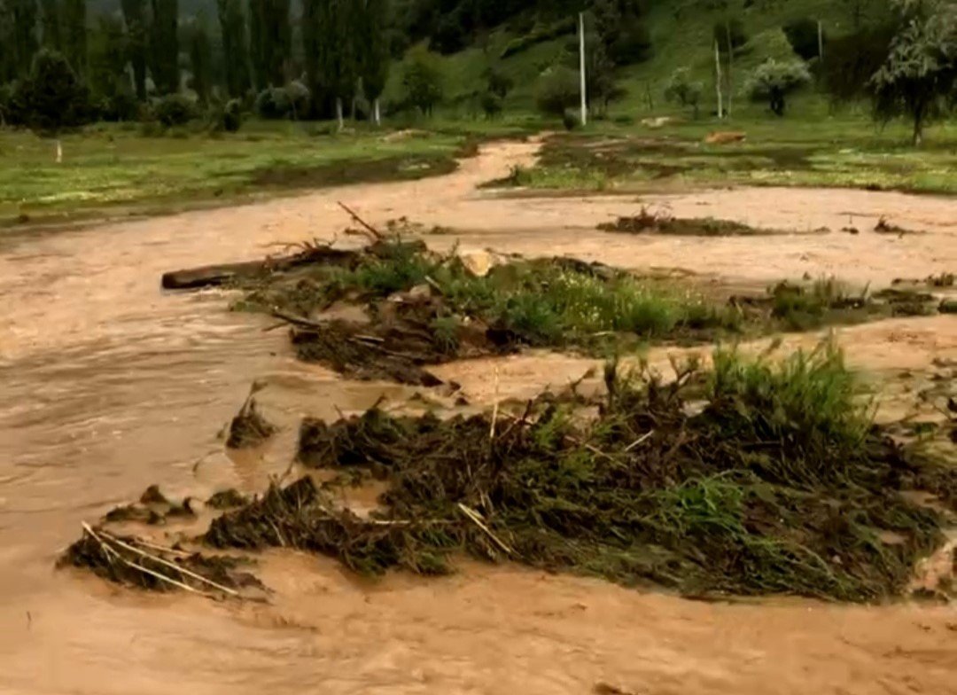 Emet’te aşırı yağış sele neden oldu