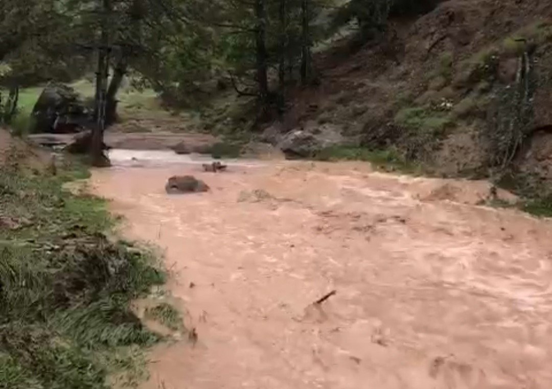 Emet’te aşırı yağış sele neden oldu