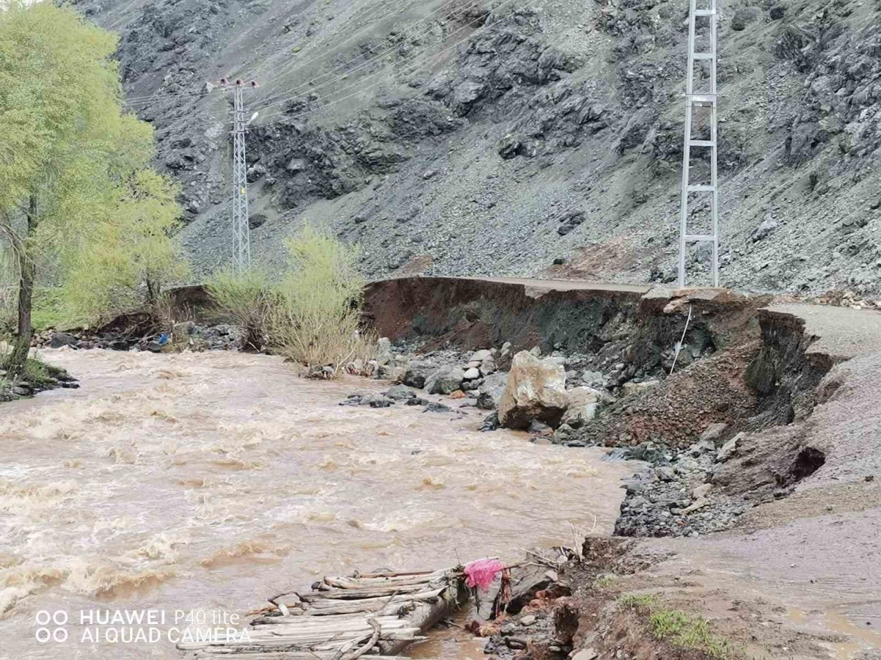 Tekman’da sağanak yağış derelerin taşmasına neden oldu