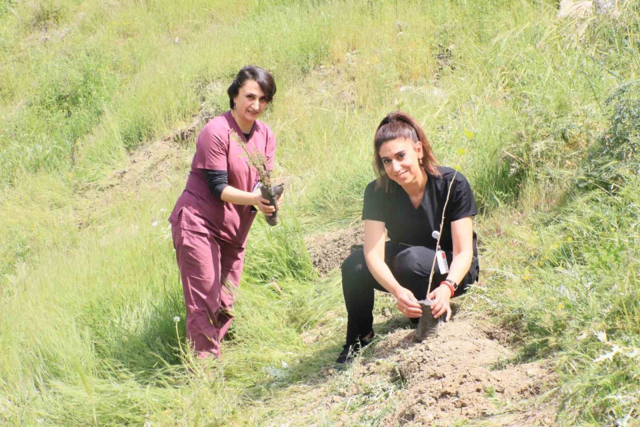 Hakkari’de "Dünya Tütünsüz Günü’nde fidan dikildi