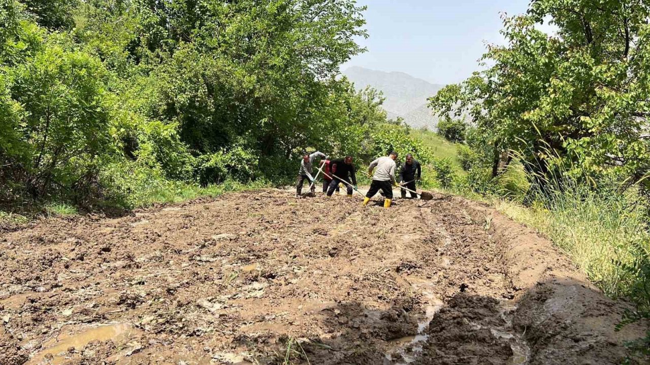 Çukurca’da çeltik ekimi başladı
