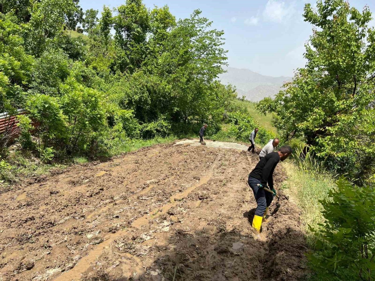 Çukurca’da çeltik ekimi başladı