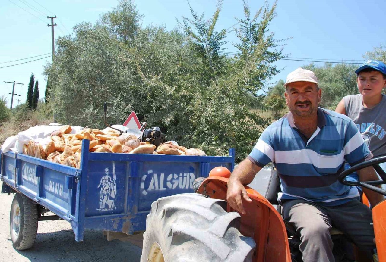 Gıda israfının önüne geçilemiyor