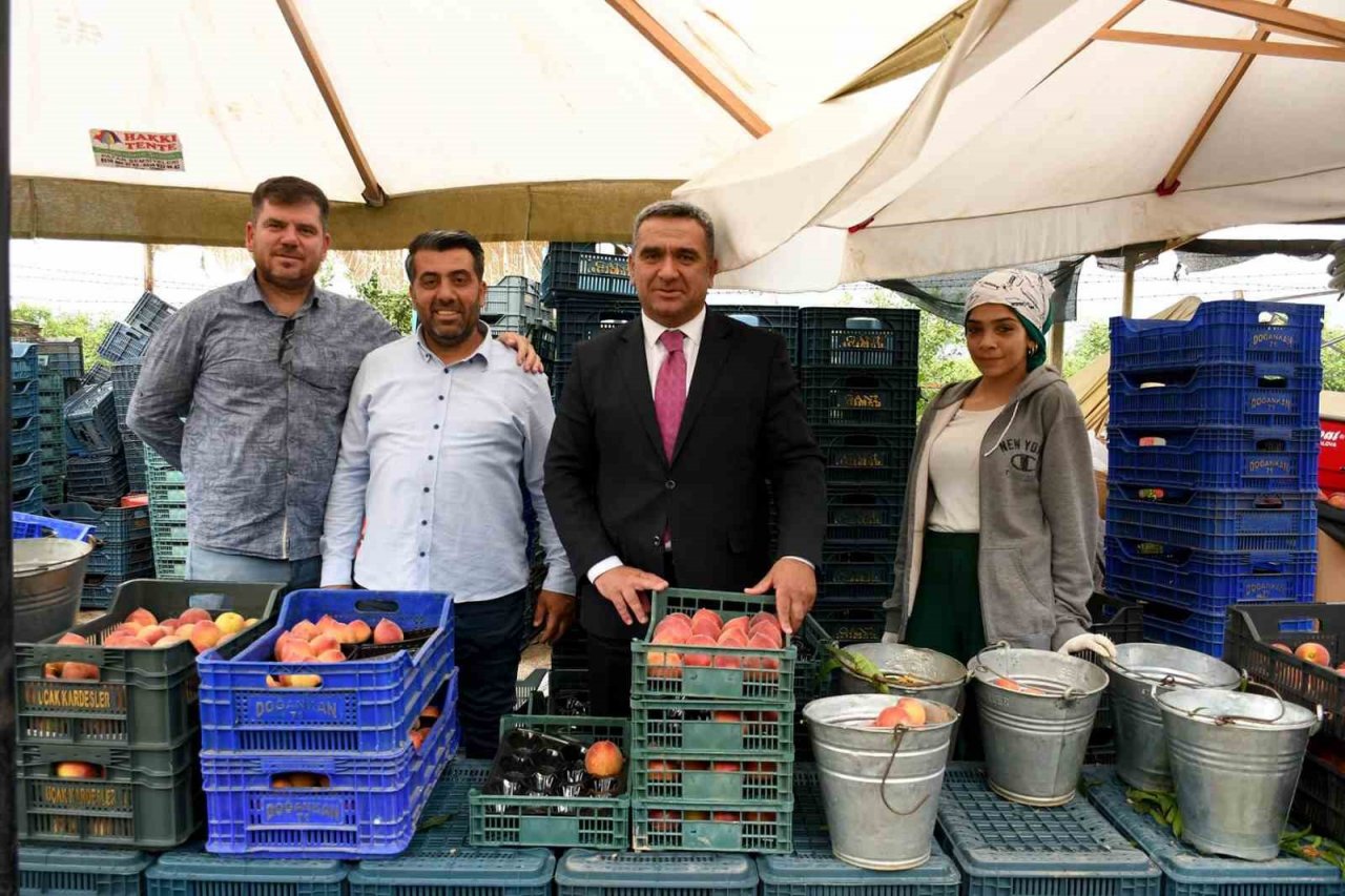 Kuşadası’nda ‘Rich May’ cinsi şeftalinin hasadına başlandı