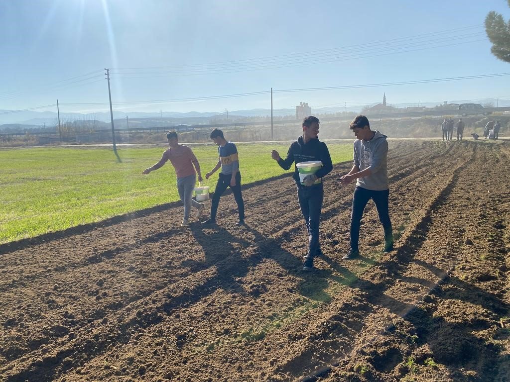 Çiftçiler, büyükşehirin projesinden yüksek verim aldı