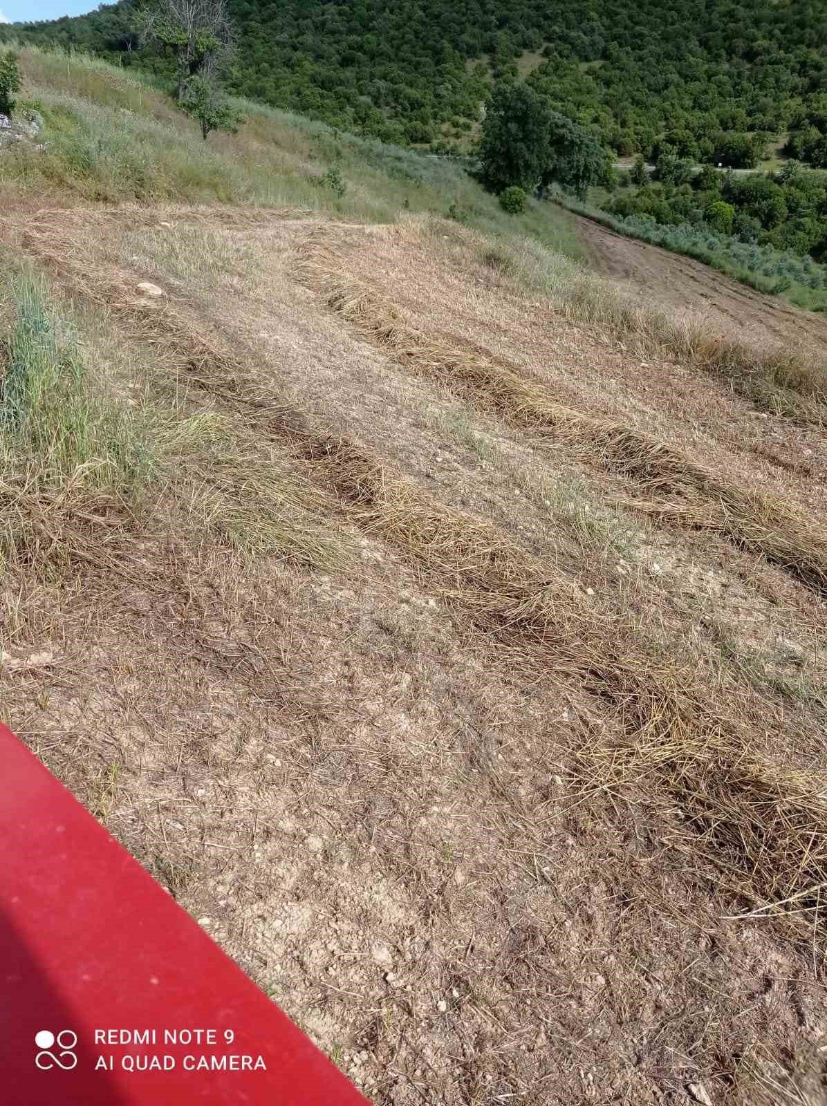 Çiftçiler, büyükşehirin projesinden yüksek verim aldı