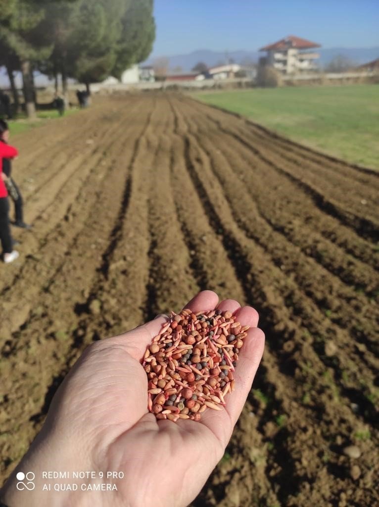 Çiftçiler, büyükşehirin projesinden yüksek verim aldı