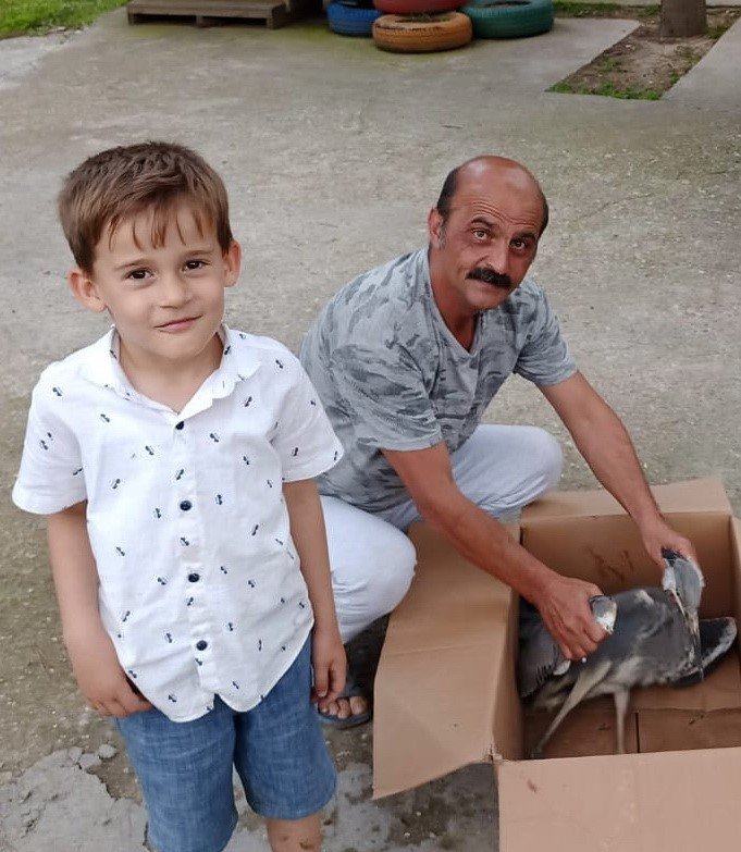 Salihli’de yaralı gri balıkçıl tedavi altına alındı