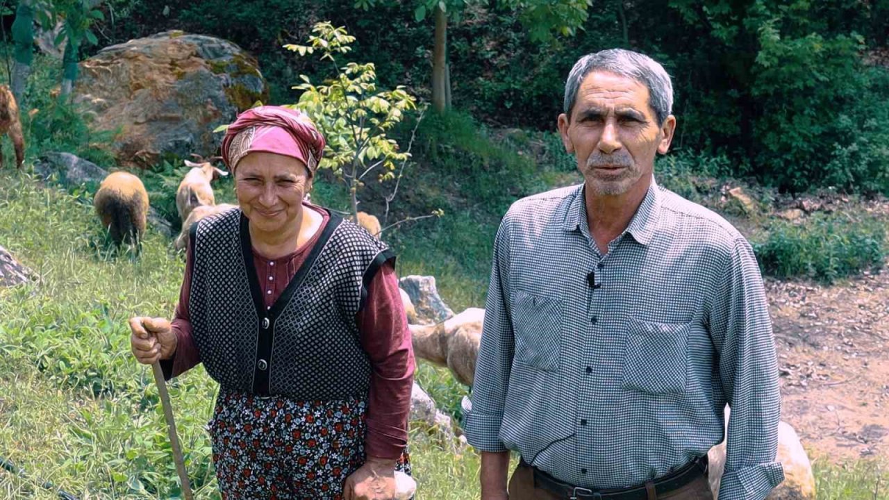 Merkezefendi’de kadın üreticiler sürülerini büyütüyor