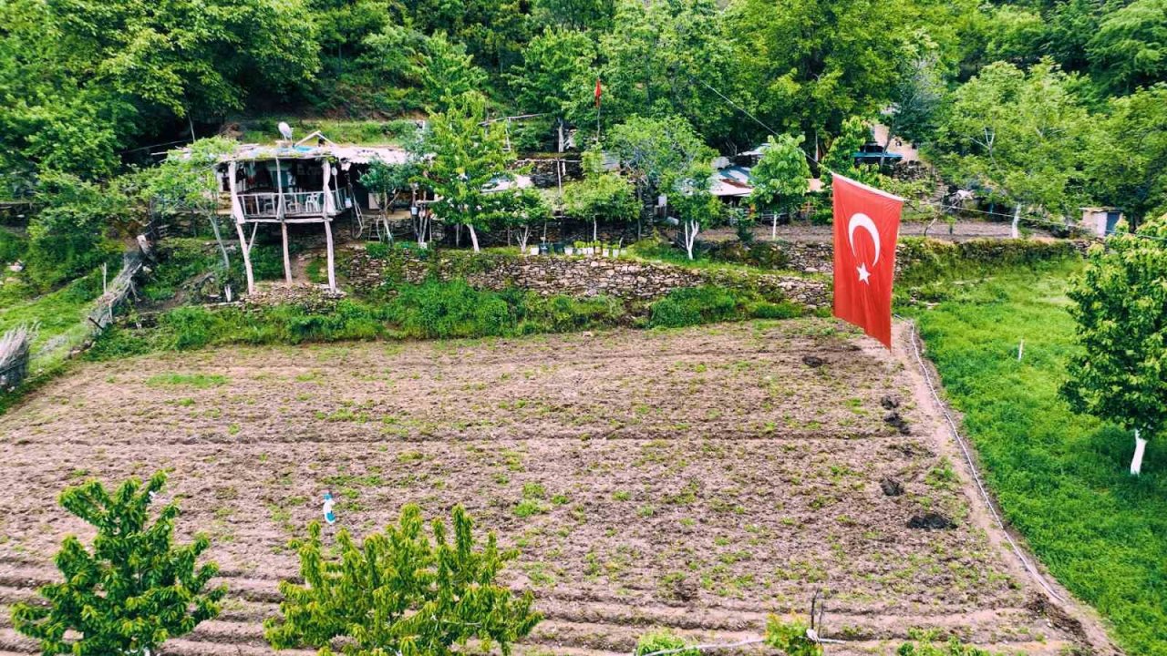 Merkezefendi’de kadın üreticiler sürülerini büyütüyor