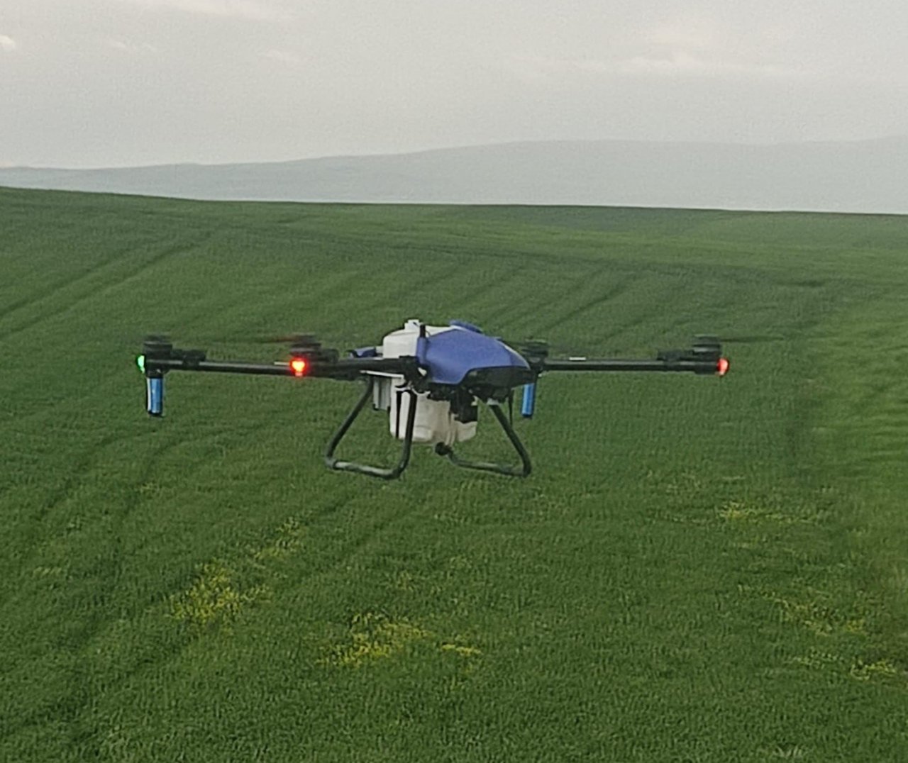 Malazgirt’te drone ile ilaçlama dönemi