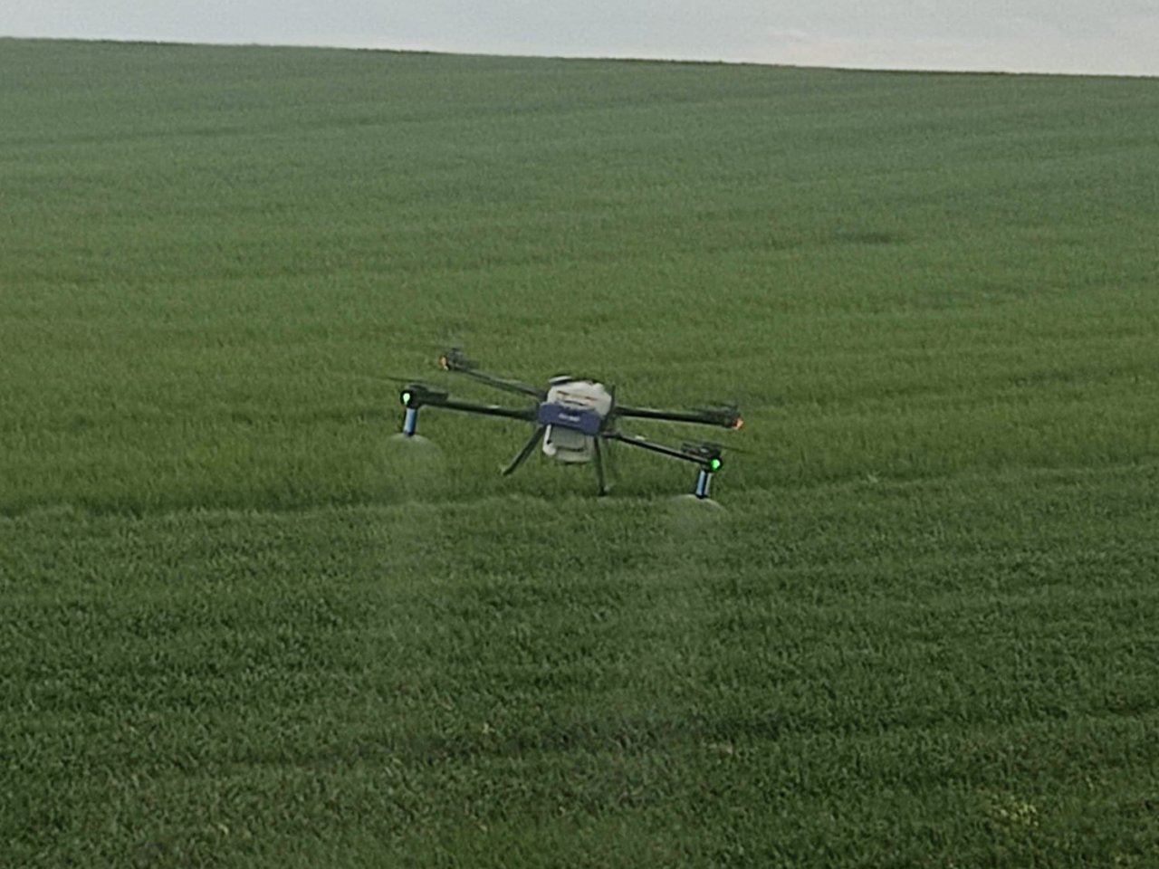 Malazgirt’te drone ile ilaçlama dönemi