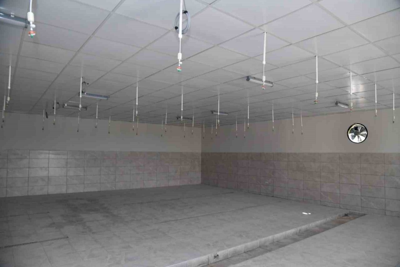 Karadeniz Bölgesi’nin ilk kara salyangozu üretim tesisi yakında Trabzon’da faaliyete geçecek