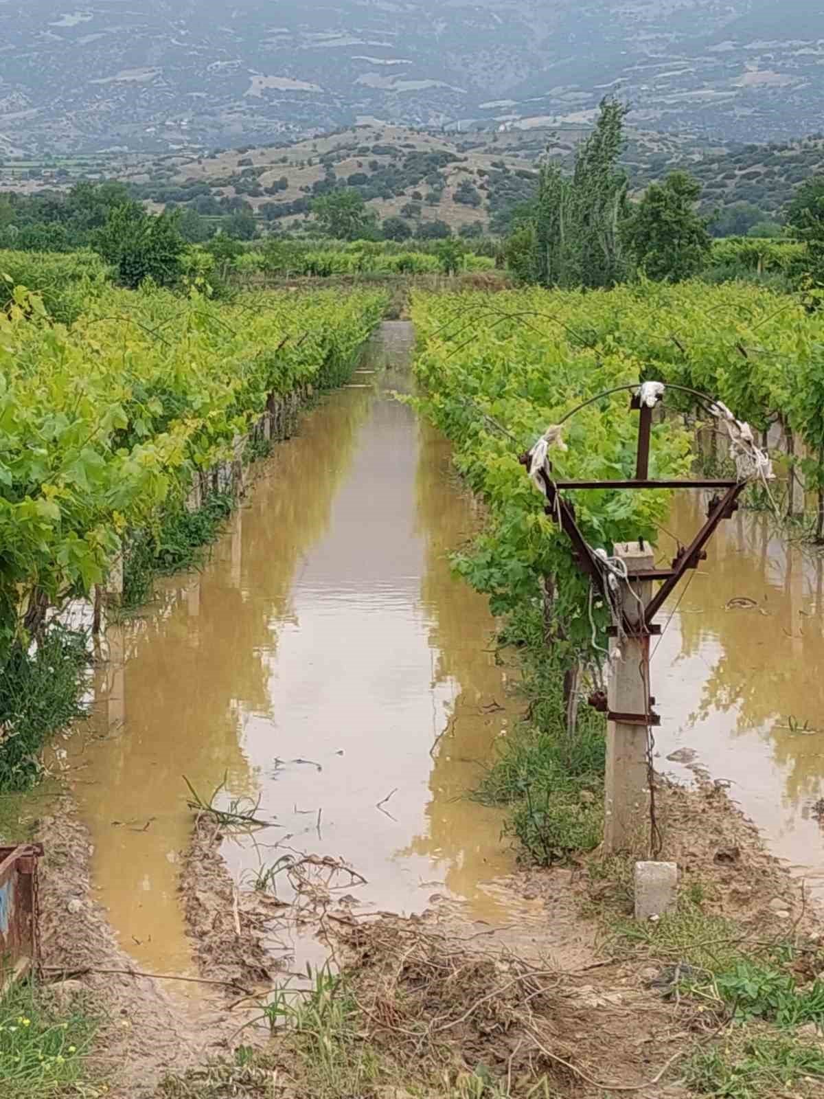 Sel sularının gelişini meraklı bakışlarla izlediler