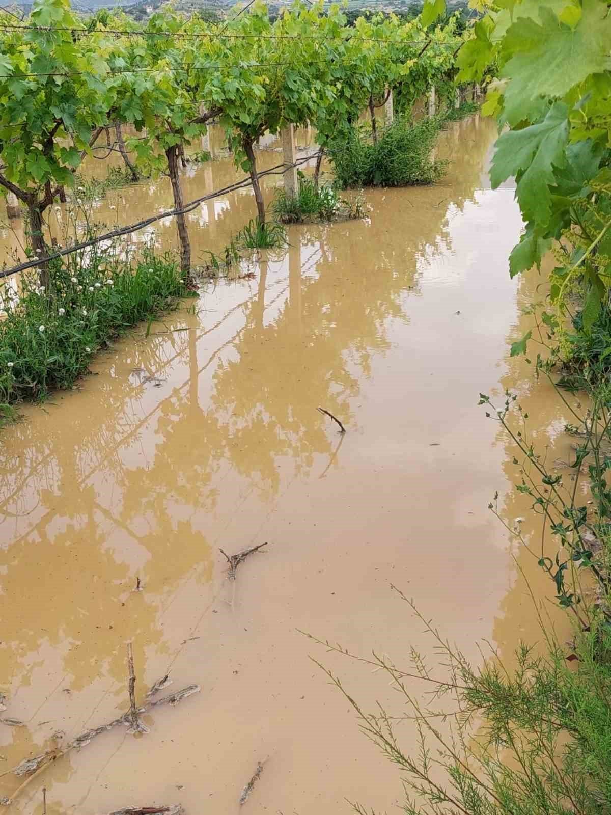 Sel sularının gelişini meraklı bakışlarla izlediler