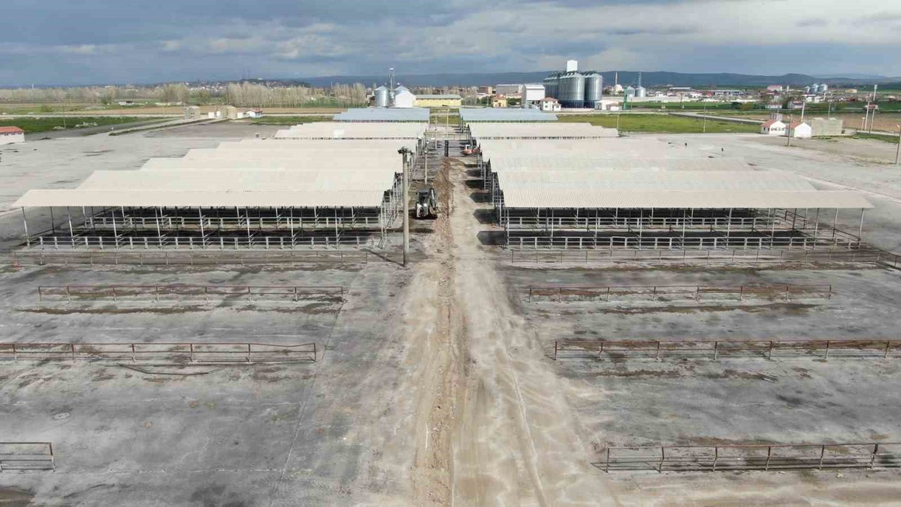 Kurban Bayram’ı öncesi Sivas’ta tüm hayvan pazarları kapatıldı