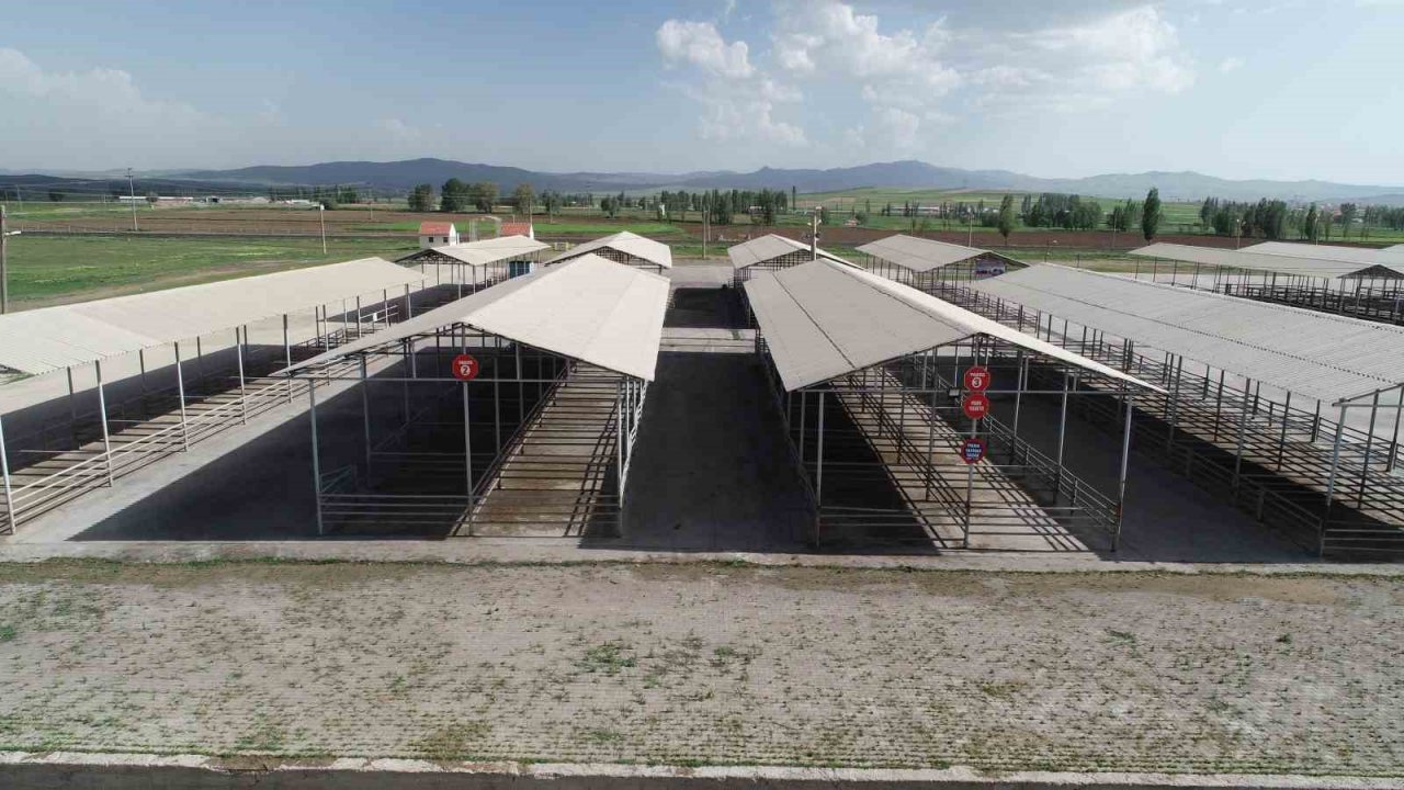 Kurban Bayram’ı öncesi Sivas’ta tüm hayvan pazarları kapatıldı