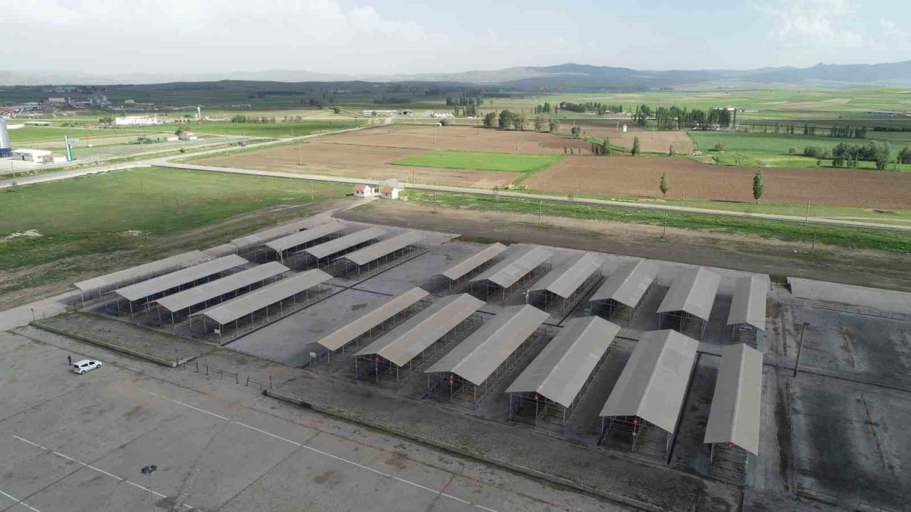 Kurban Bayram’ı öncesi Sivas’ta tüm hayvan pazarları kapatıldı